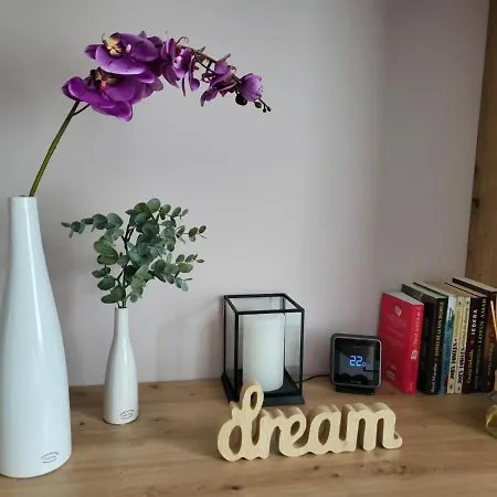 Pandora * Kolozsvár