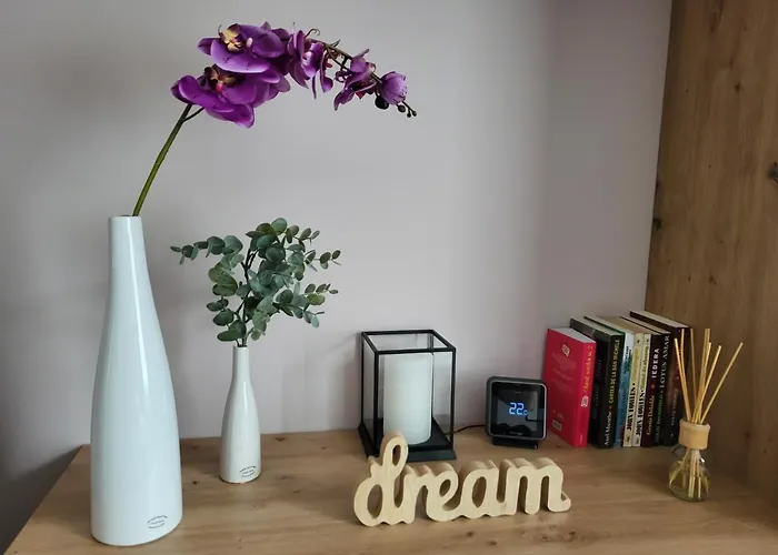 Pandora * Cluj-Napoca